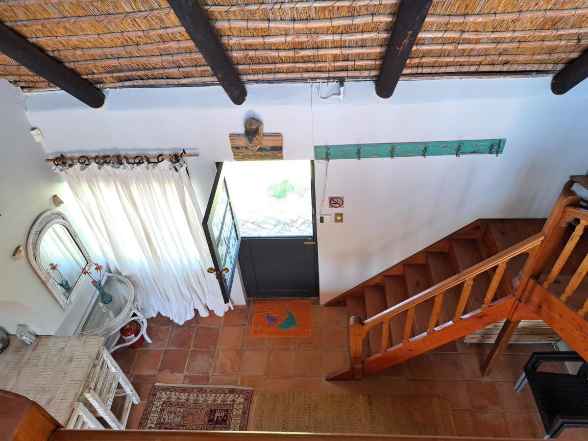 Starfish Accommodation Struisbaai Zewnętrze zdjęcie
